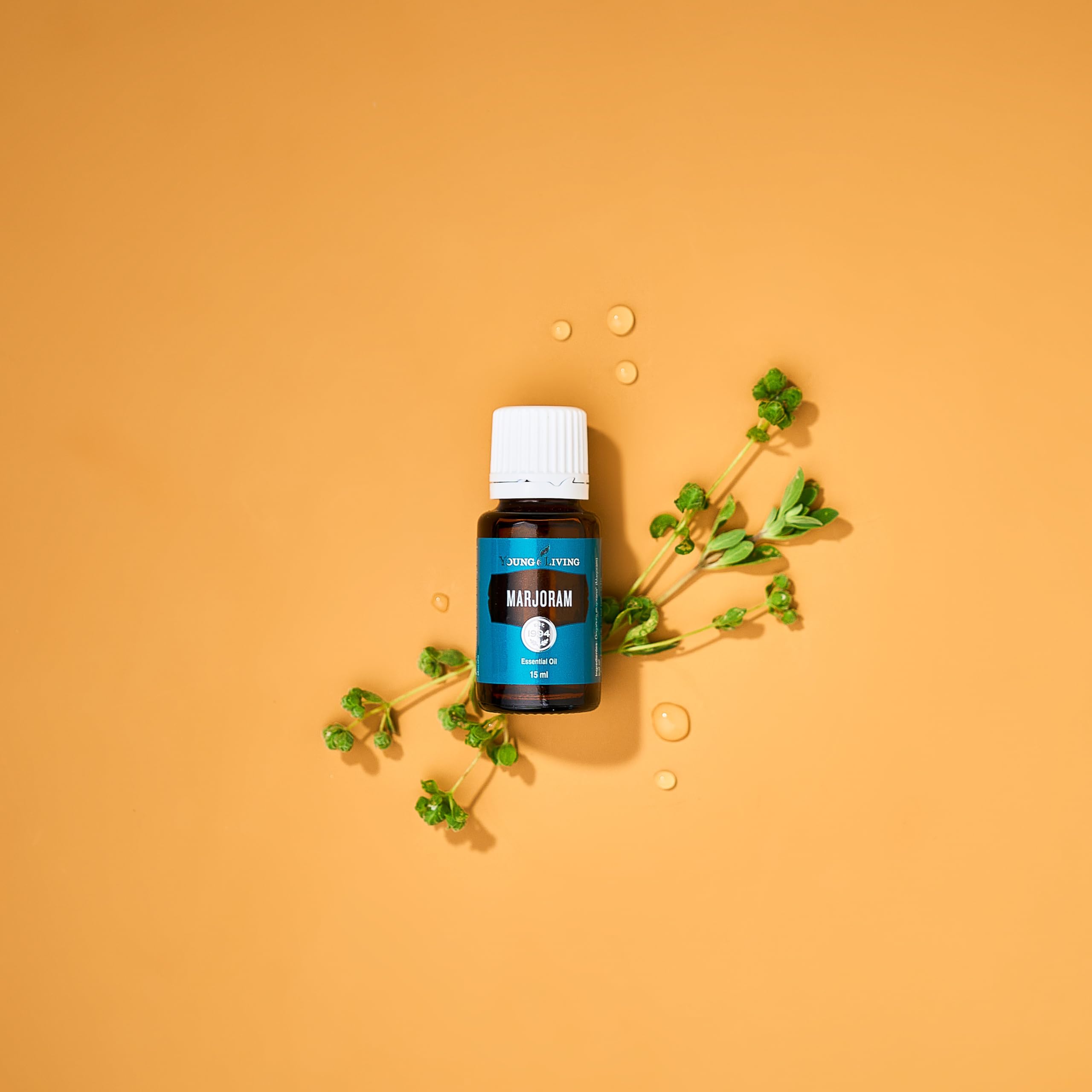 Amazon.com: Young Living Marjoram Essential Oil - 15ml for